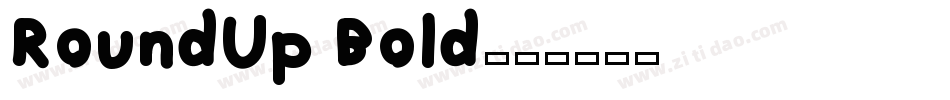 RoundUp Bold字体转换